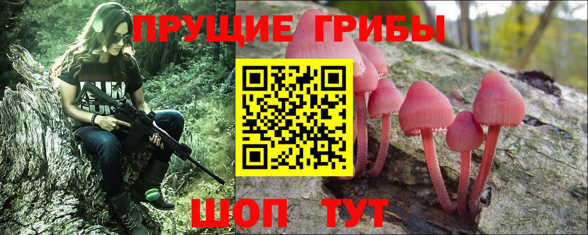 Острогожск  Галлюциногенные грибы мухоморы  Вход с VPN 