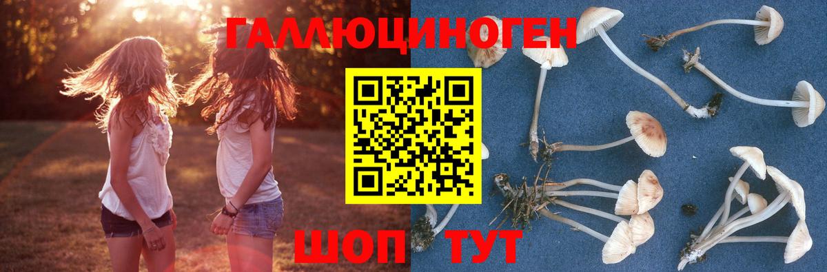 Псилоцибиновые грибы GOLDEN TEACHER Острогожск