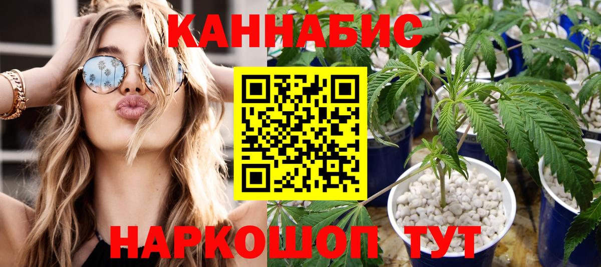 МАРИХУАНА планчик Острогожск